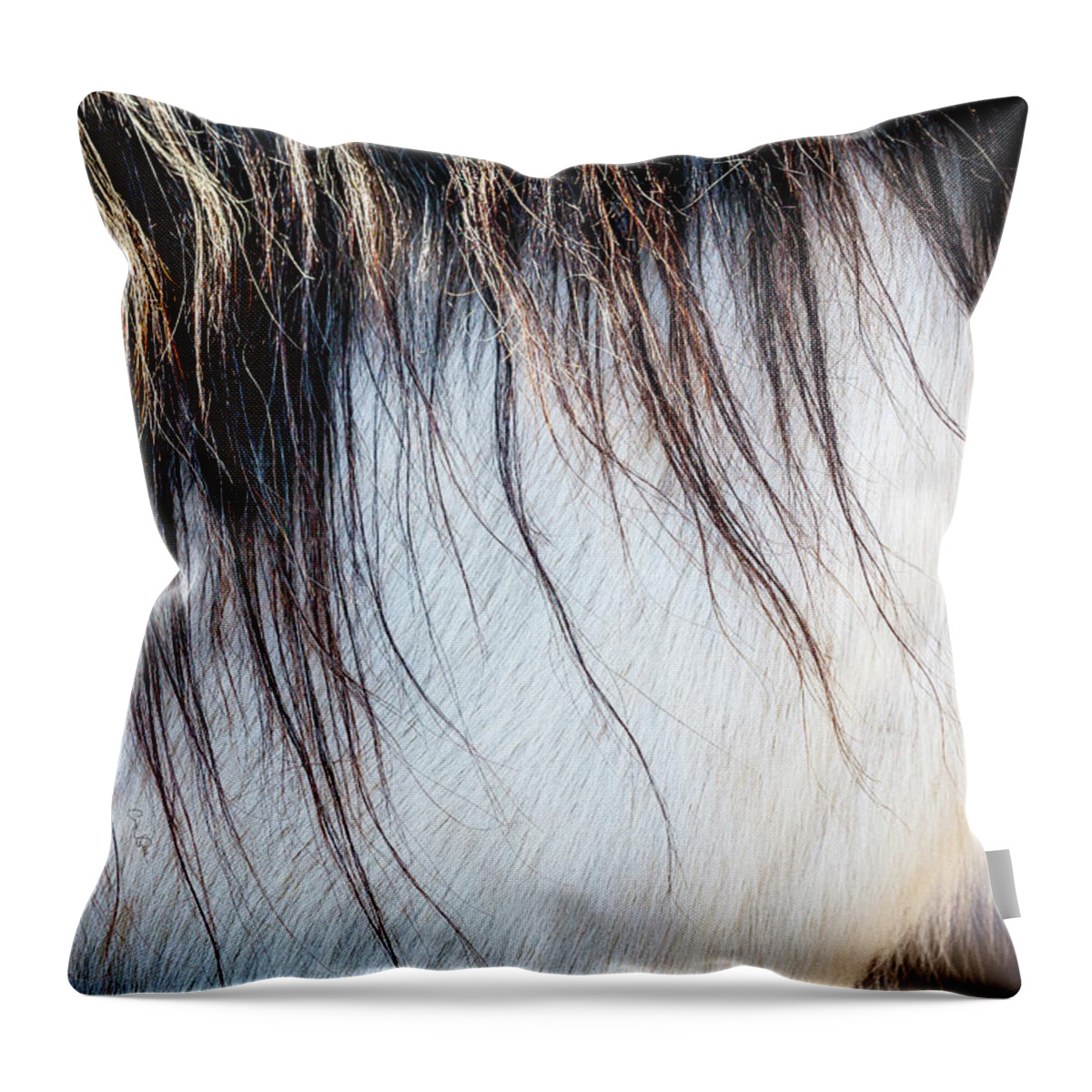 I Love The Beauty Of The Outdoors And Its Natural Wildlife. This Wild Horse Was Shot In The Pryor Mountain Wild Horse Range. Throw Pillow featuring the photograph Wild Horse No. 5 by Craig J Satterlee