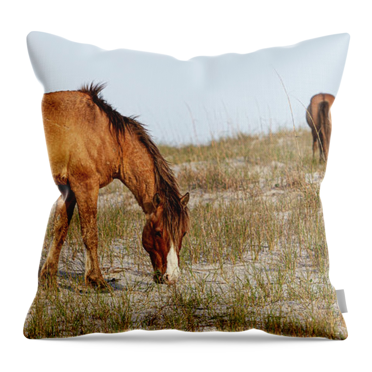 Wild Horses Throw Pillow featuring the photograph Wild Horses of the Southern Outer Banks of North Carolina by Bob Decker