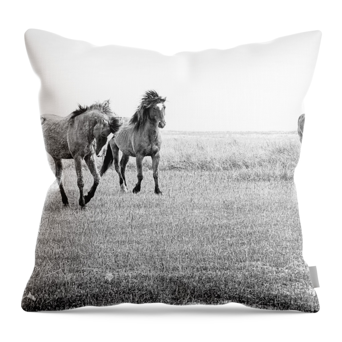 Wild Horse Throw Pillow featuring the photograph Wild Horses on North Carolina Tidal Flats Near Beaufort by Bob Decker