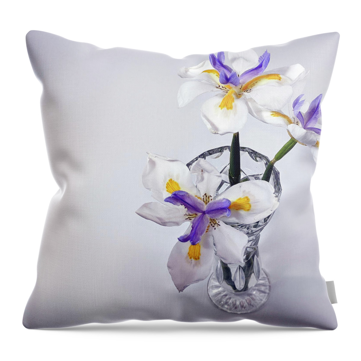 Wild Iris Flower Throw Pillow featuring the photograph Wild Iris in glass vase. by Geoff Childs