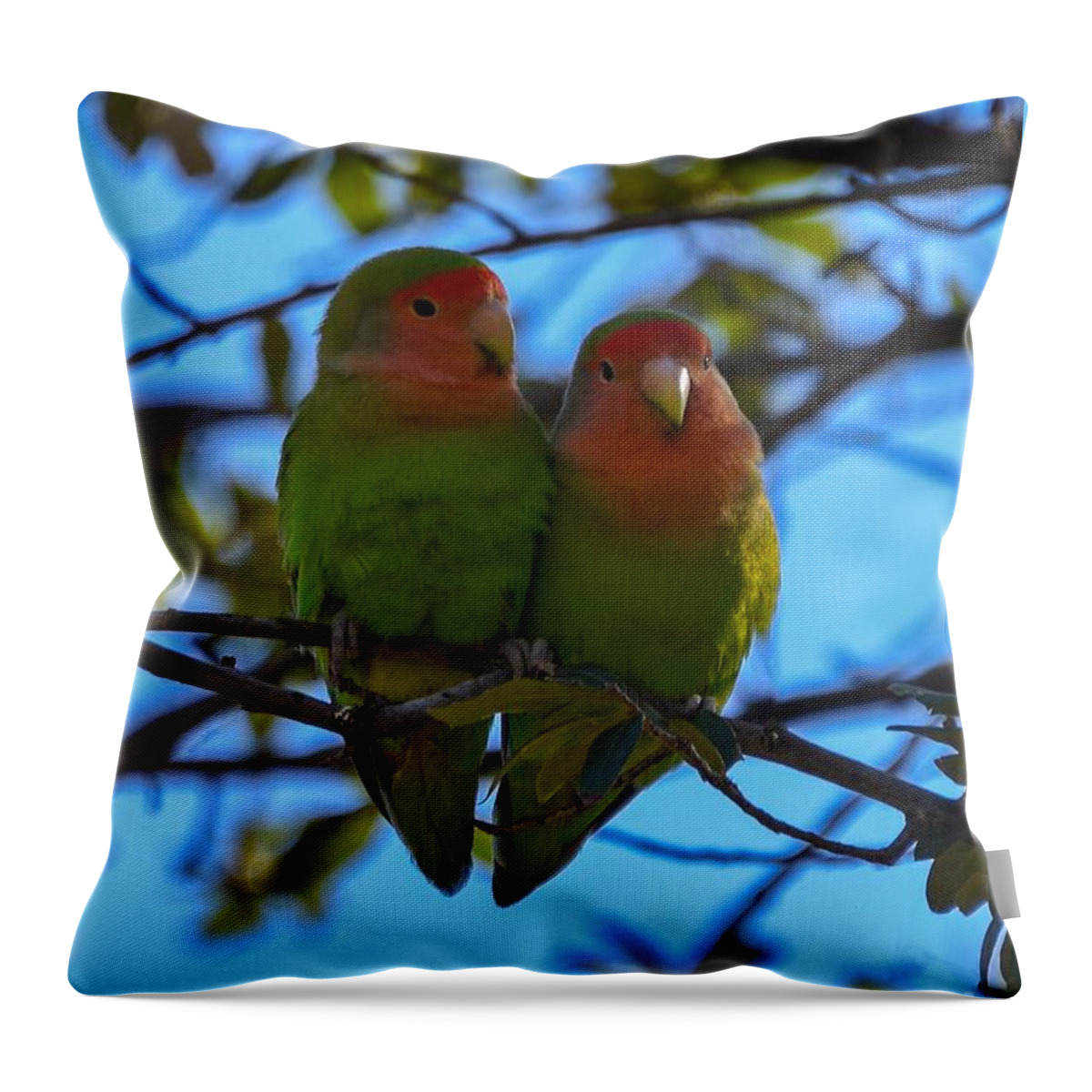 Wild Lovebirds Throw Pillow featuring the digital art Wild Lovebirds by Tammy Keyes