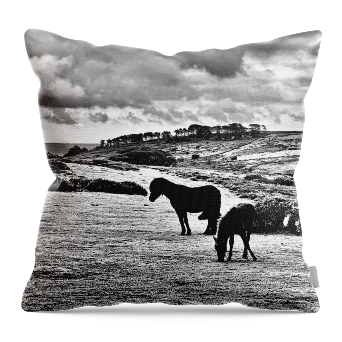 Horses Throw Pillow featuring the photograph Wild Ponies of Dartmoor by John Anderson