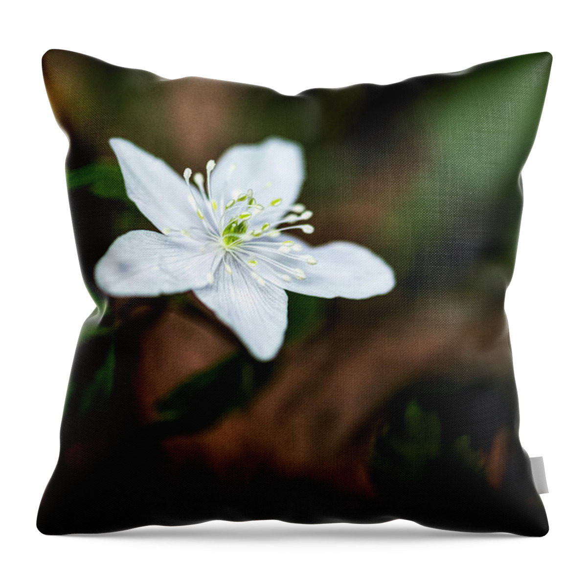 Wild Throw Pillow featuring the photograph Wild Strawberry by Pamela Dunn-Parrish