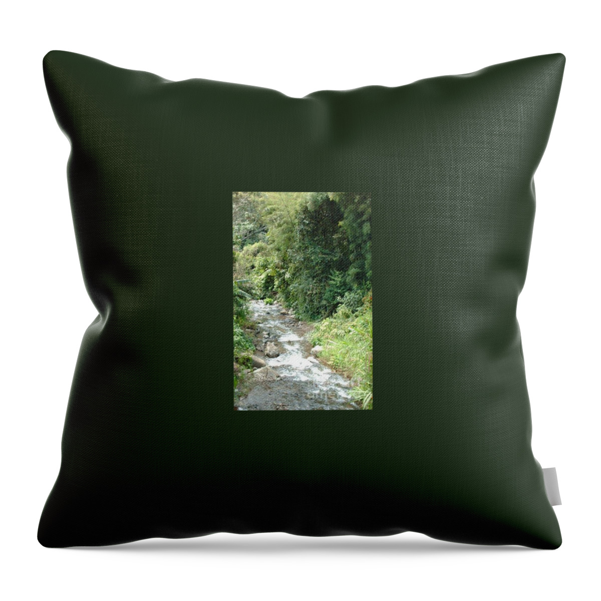 Trees Throw Pillow featuring the photograph Wild stream by Nancy Graham