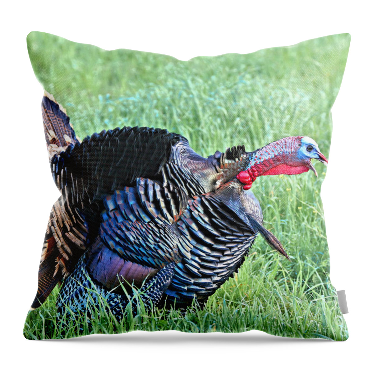 Turkey Throw Pillow featuring the photograph Wild Turkey by Vivian Krug Cotton