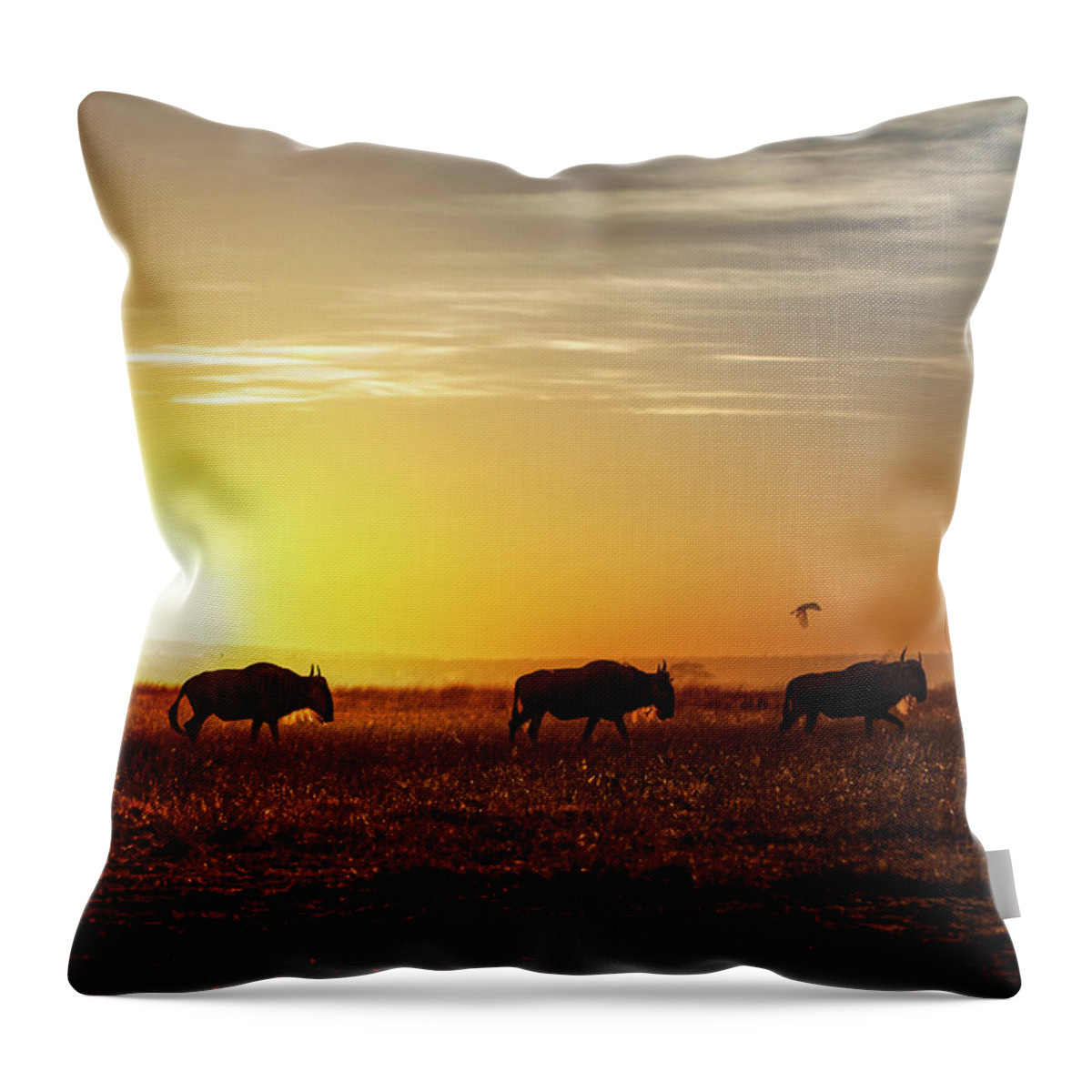 Wildebeest Throw Pillow featuring the photograph Wildebeest Walking Along the Sunset by Good Focused