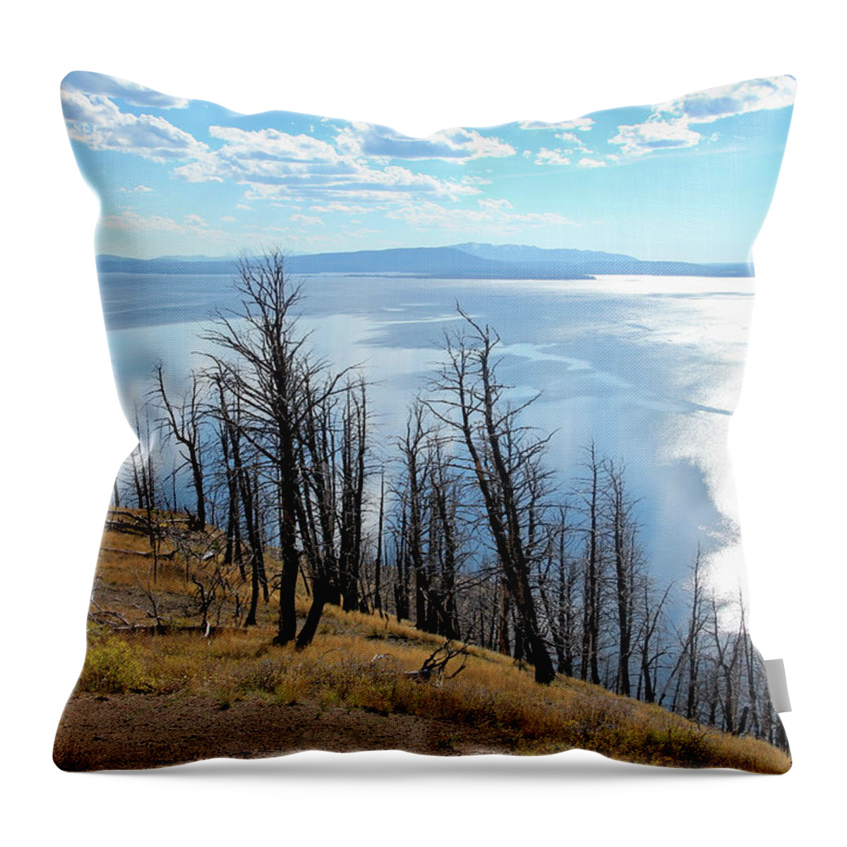 Lake Yellowstone Throw Pillow featuring the photograph Wildfire Devastation by Robert Carter