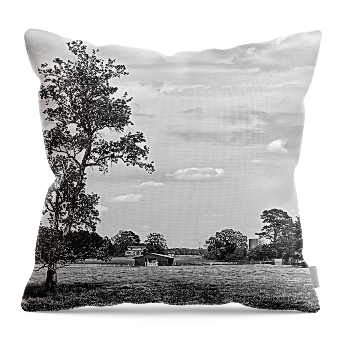 Wildflower Throw Pillow featuring the photograph Wildflower Field BW by Lee Darnell