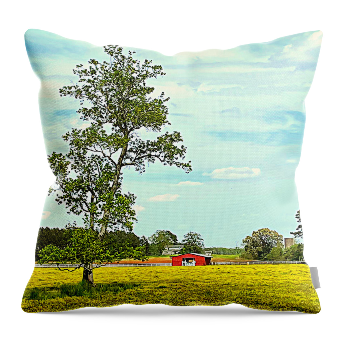 Wildflower Throw Pillow featuring the photograph Wildflower Field by Lee Darnell
