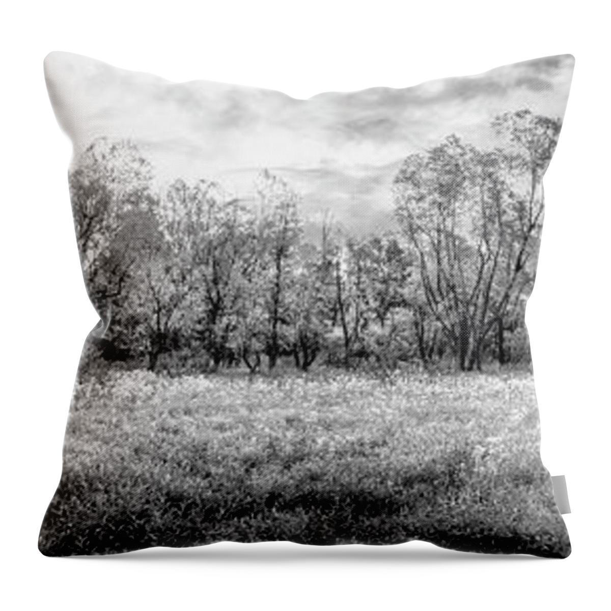 Carolina Throw Pillow featuring the photograph Wildflower Meadow Panorama Black and White by Debra and Dave Vanderlaan