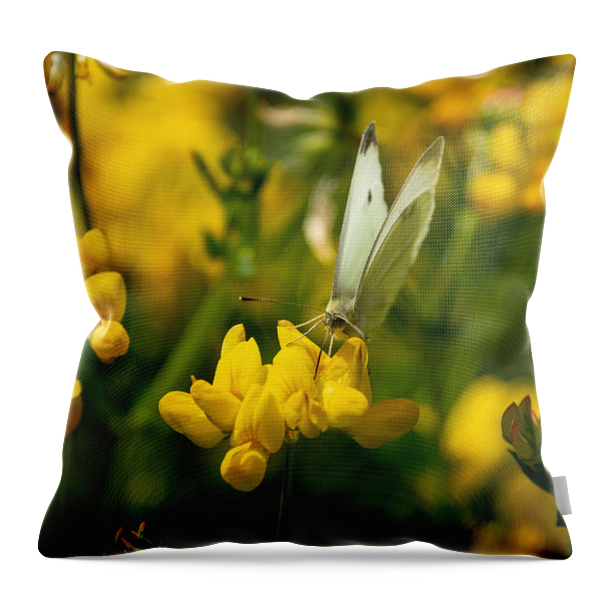 Cabbage White Throw Pillow featuring the photograph Wildflowers and Wings by Linda Bonaccorsi