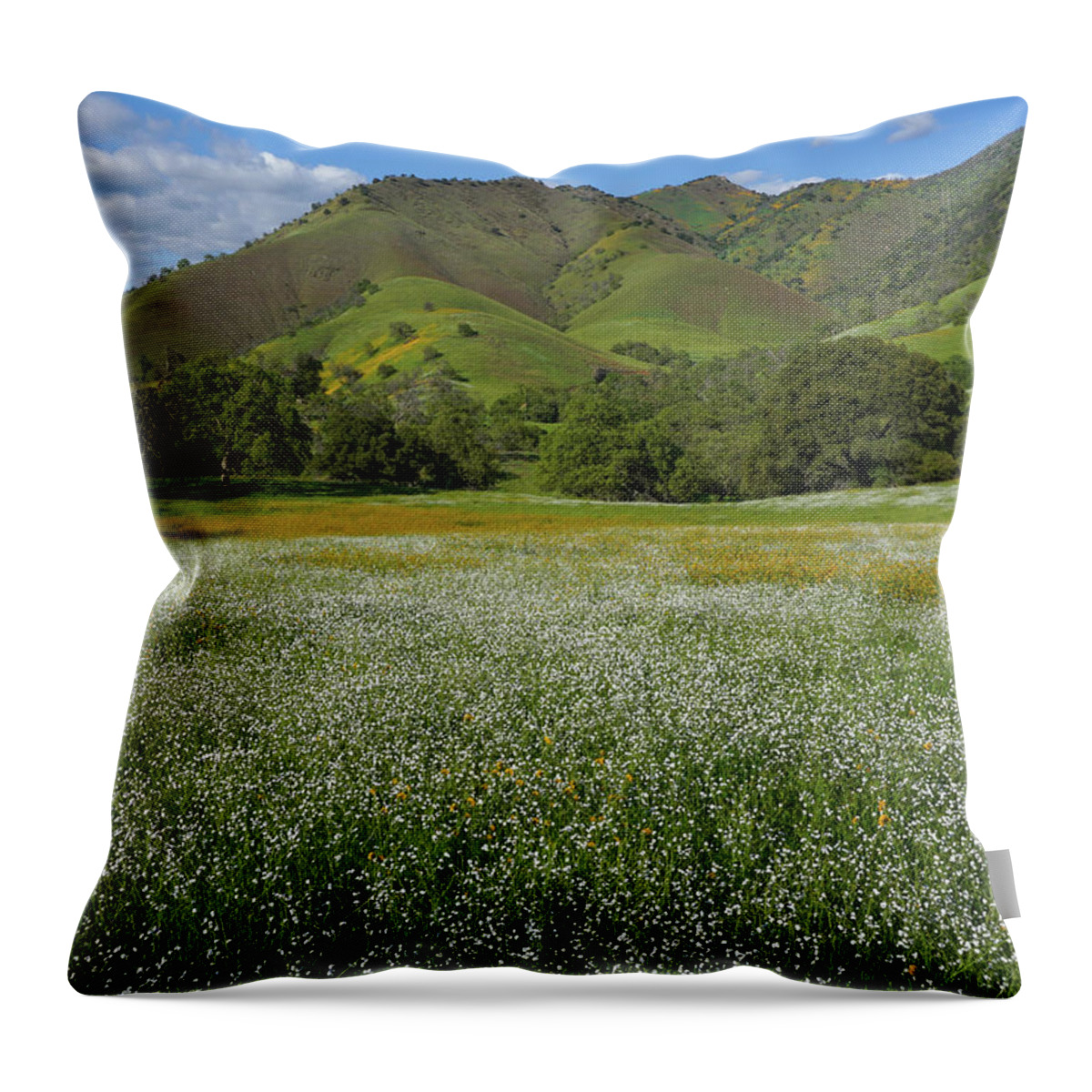 Wildflowers Throw Pillow featuring the photograph Rusty Popcorn And Fiddleneck Dry Creek Canyon by Brett Harvey