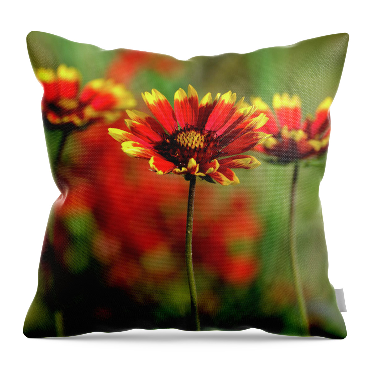 Nature Throw Pillow featuring the photograph Wildflowers by Linda Shannon Morgan