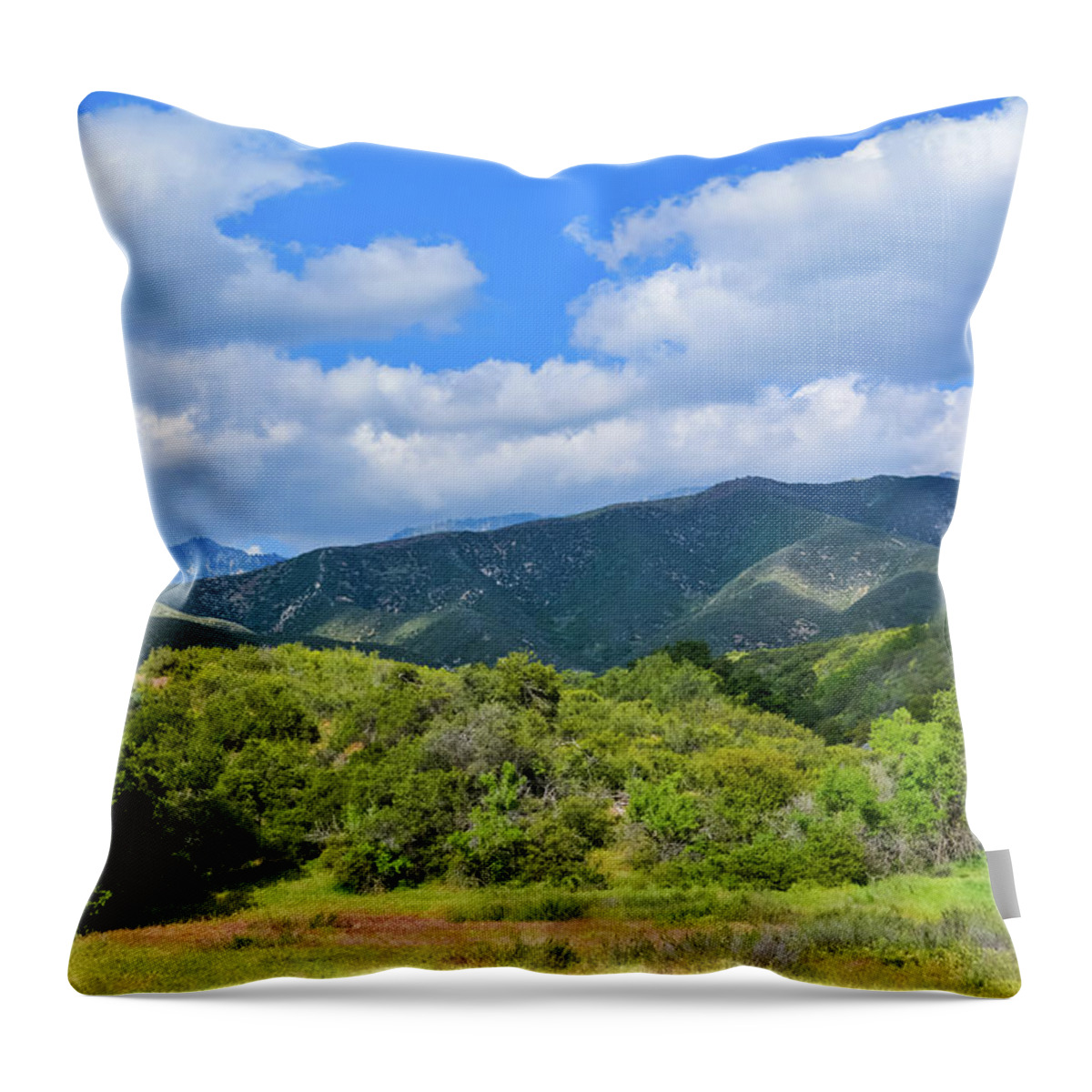 Wildwood Canyon State Park Throw Pillow featuring the photograph Wildwood Canyon State Park by Kyle Hanson
