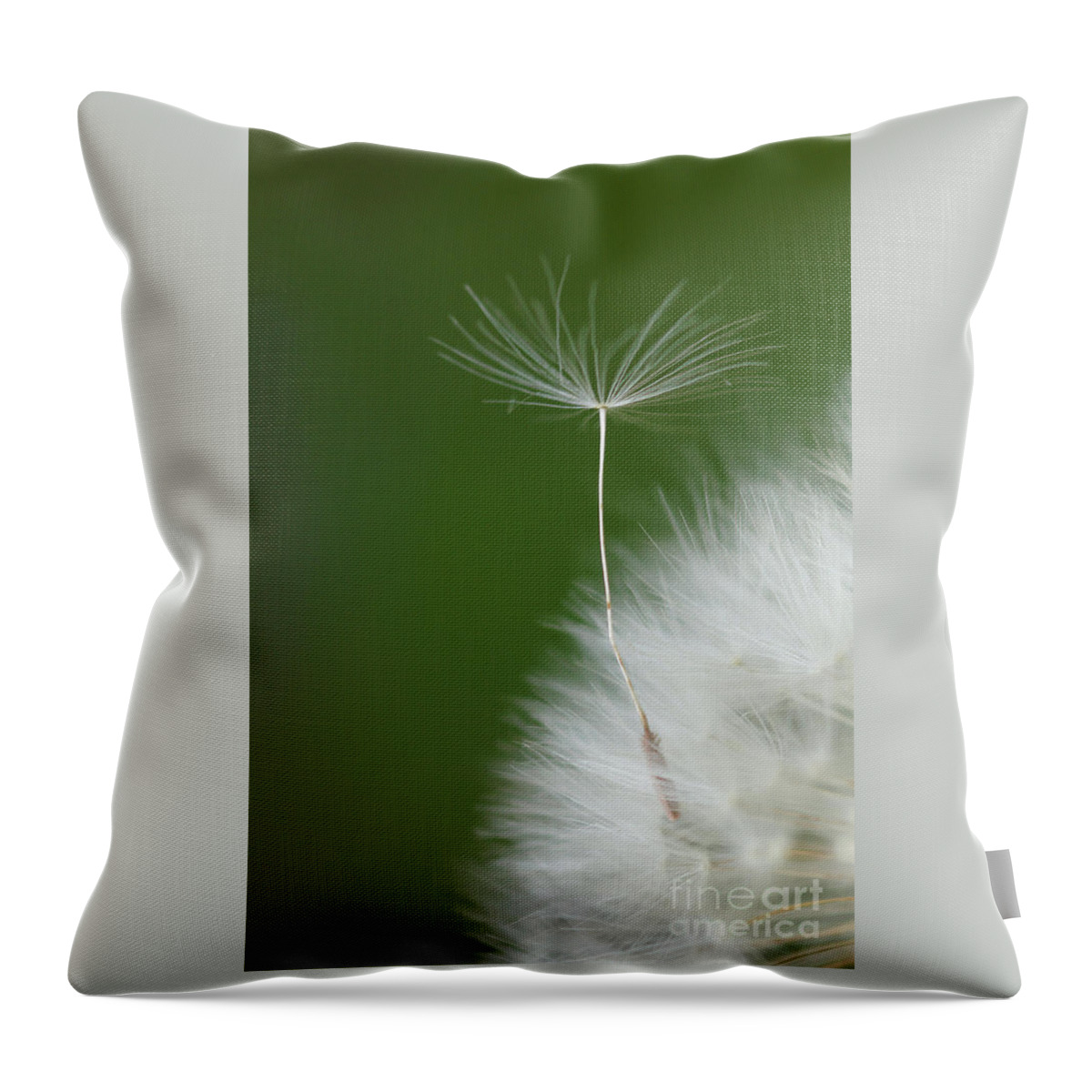 Flower Throw Pillow featuring the photograph Wind by Elbegzaya Lkhagvasuren
