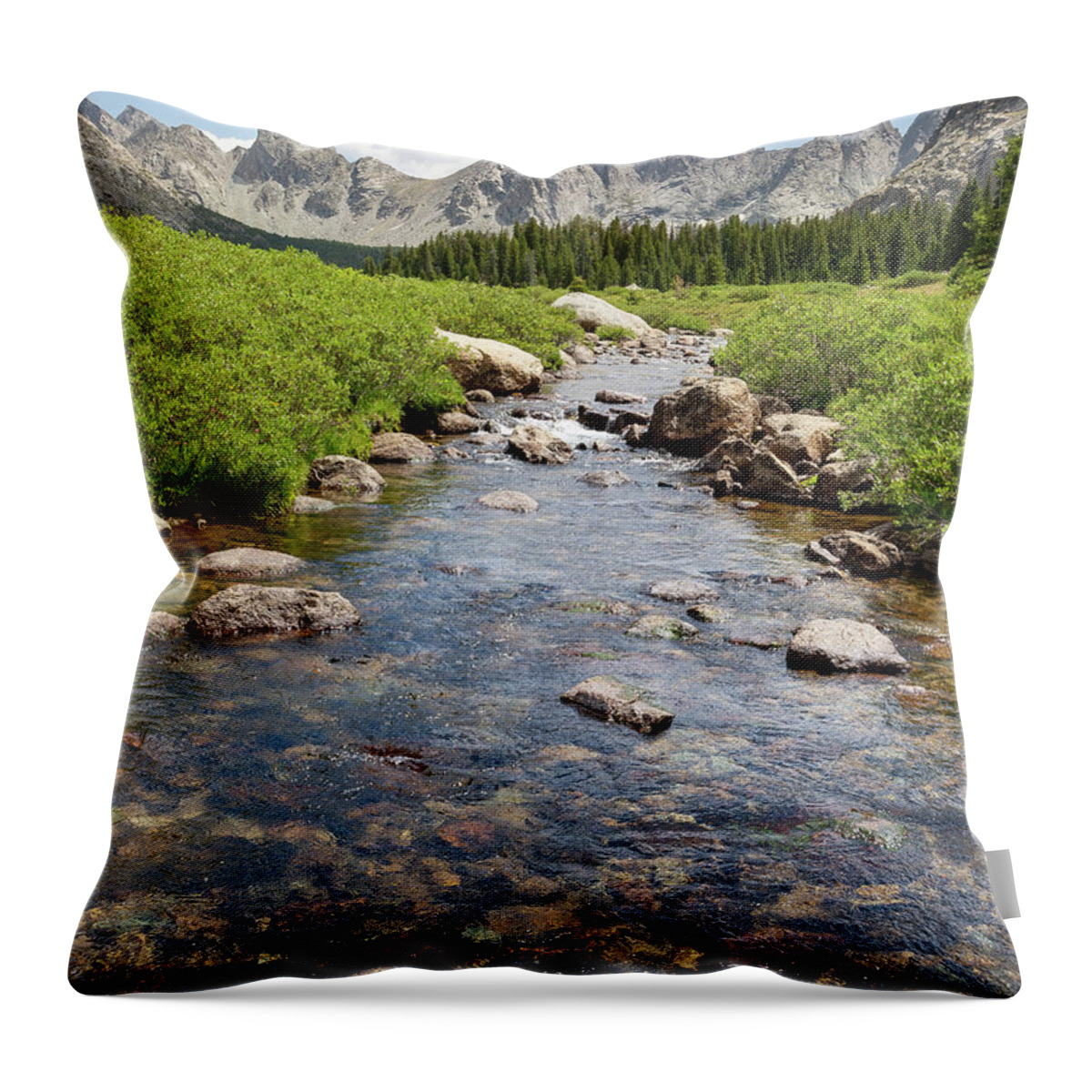 Wind River Throw Pillow featuring the photograph Wind River River by Aaron Spong