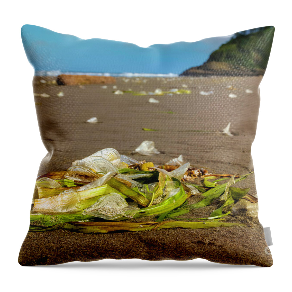 Beach Throw Pillow featuring the digital art Wind Sailors by Jean OKeeffe Macro Abundance Art