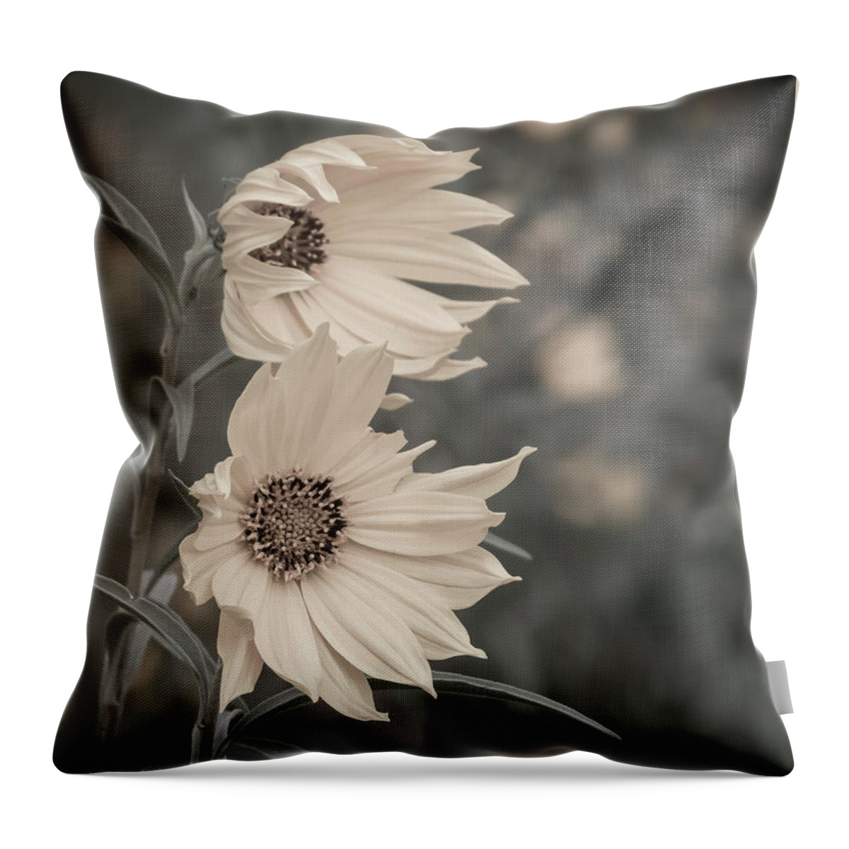 Sunflower Throw Pillow featuring the photograph Windblown Wild Sunflowers by Patti Deters