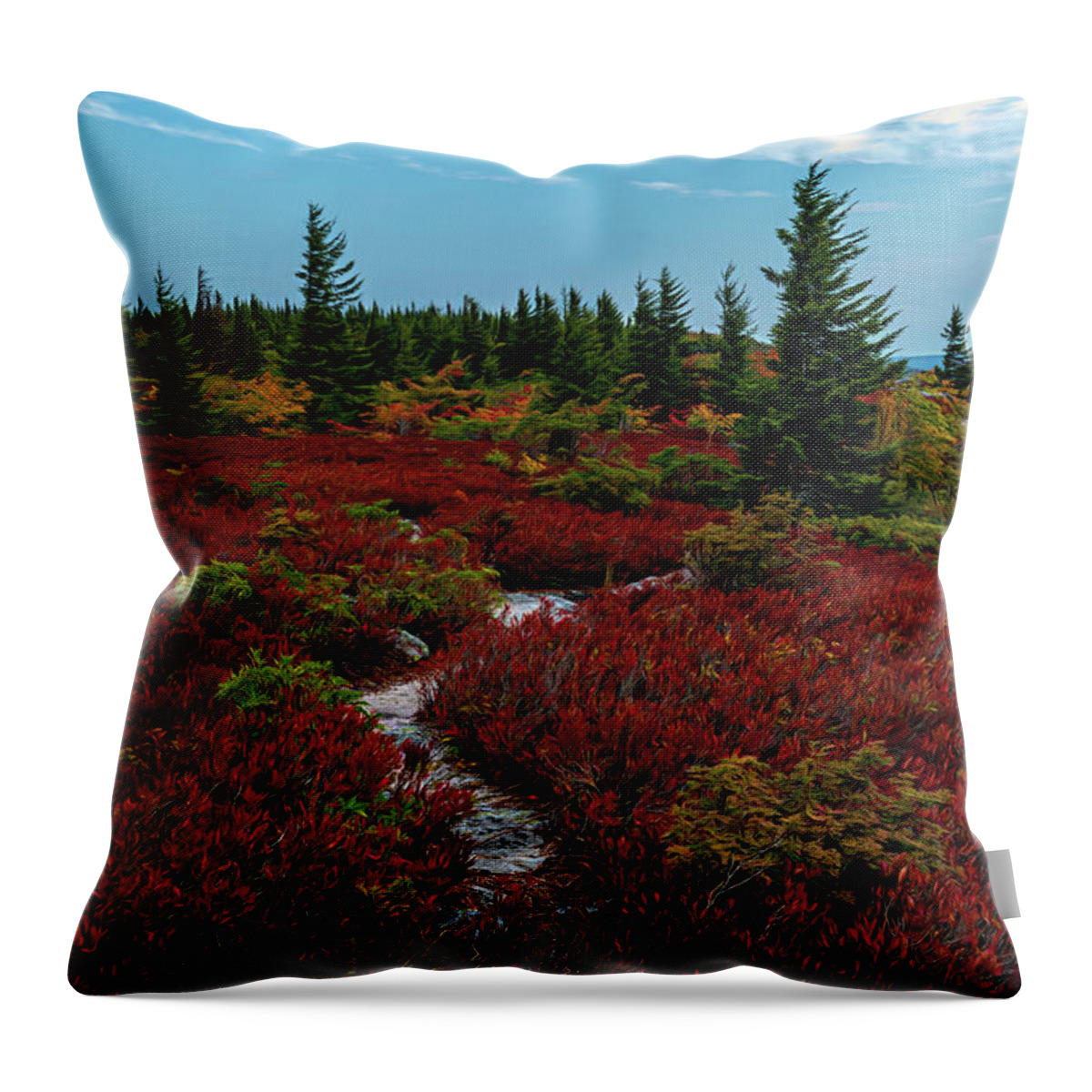 Dolly Sods Wilderness Throw Pillow featuring the photograph Winding into Dolly Sods Wilderness by Jaki Miller