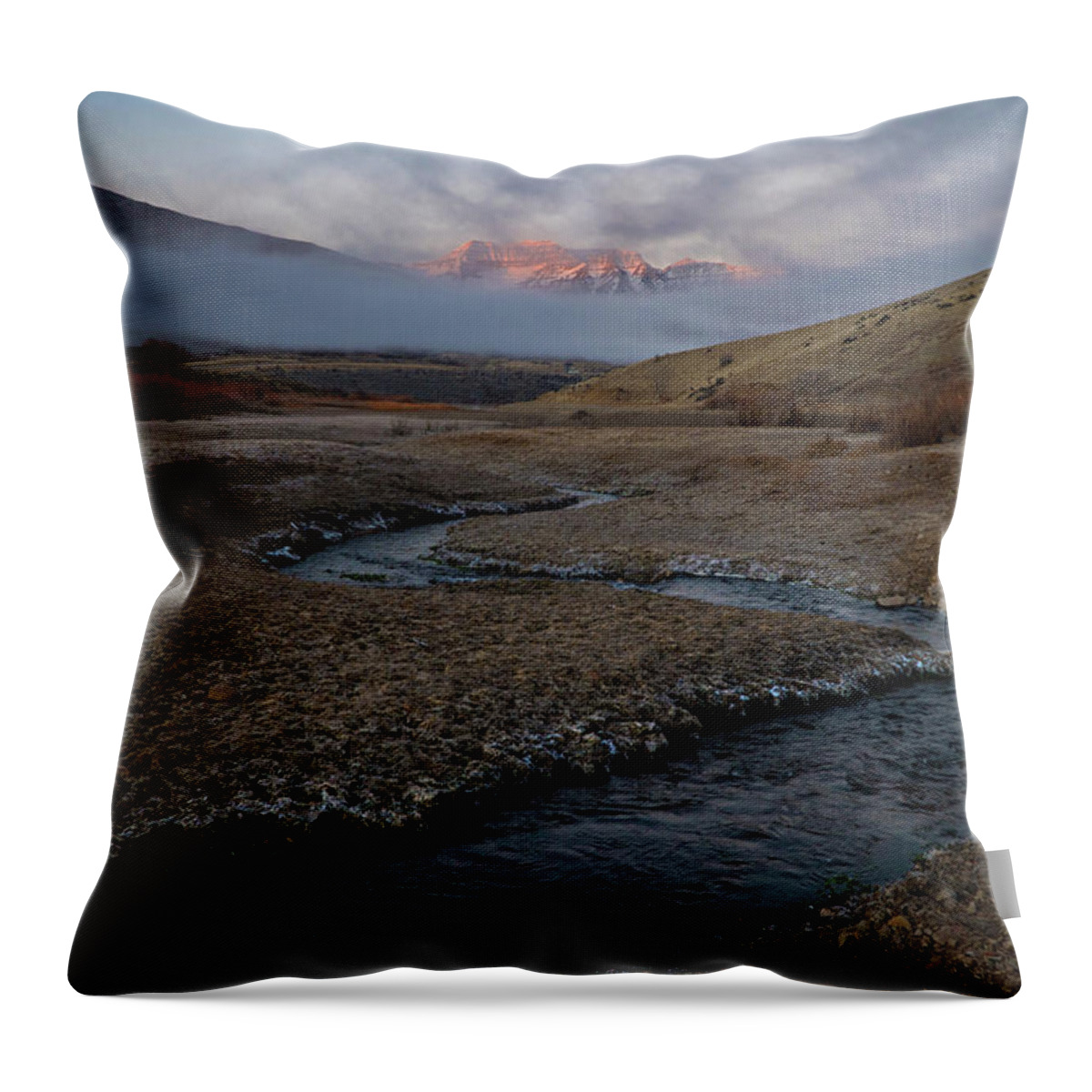 Utah Throw Pillow featuring the photograph Winding Stream by Wesley Aston