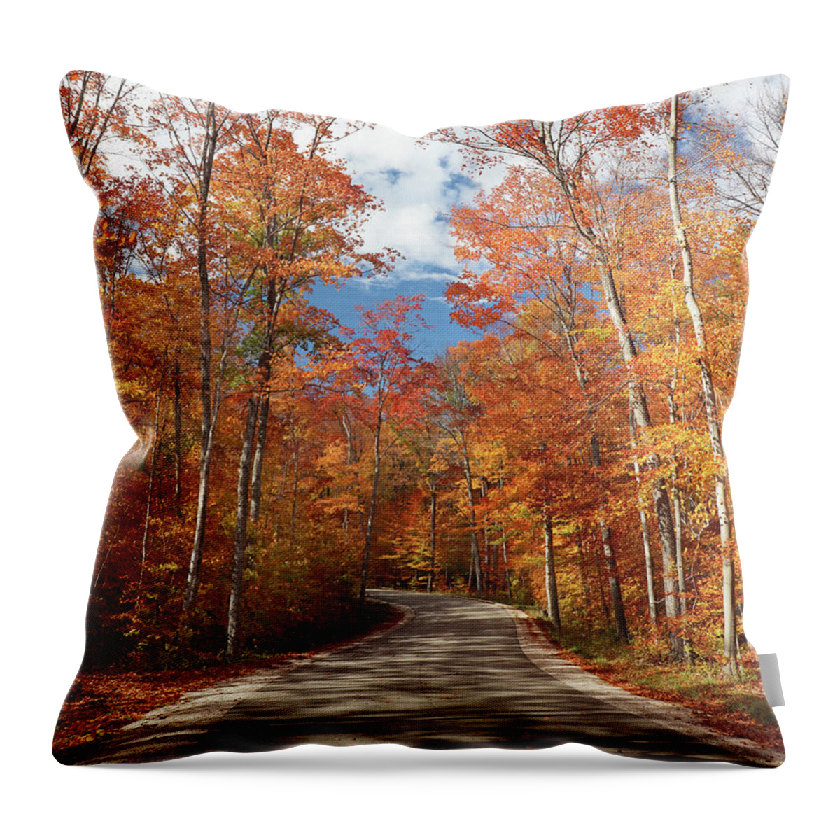 Fall Throw Pillow featuring the photograph Winding Through the Fall Colors by David T Wilkinson