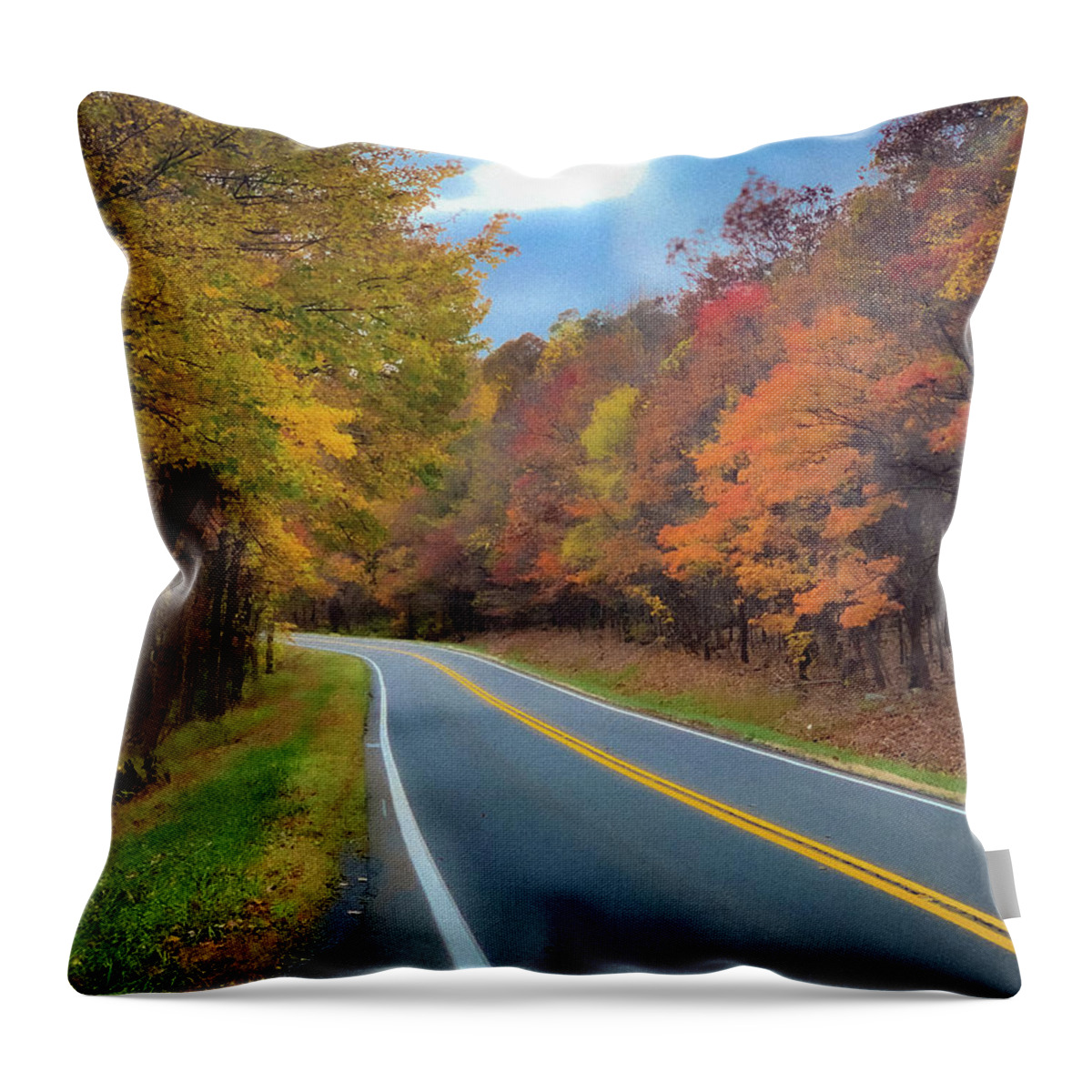Fall Throw Pillow featuring the photograph Winding West Virginia Road in Fall by Lora J Wilson