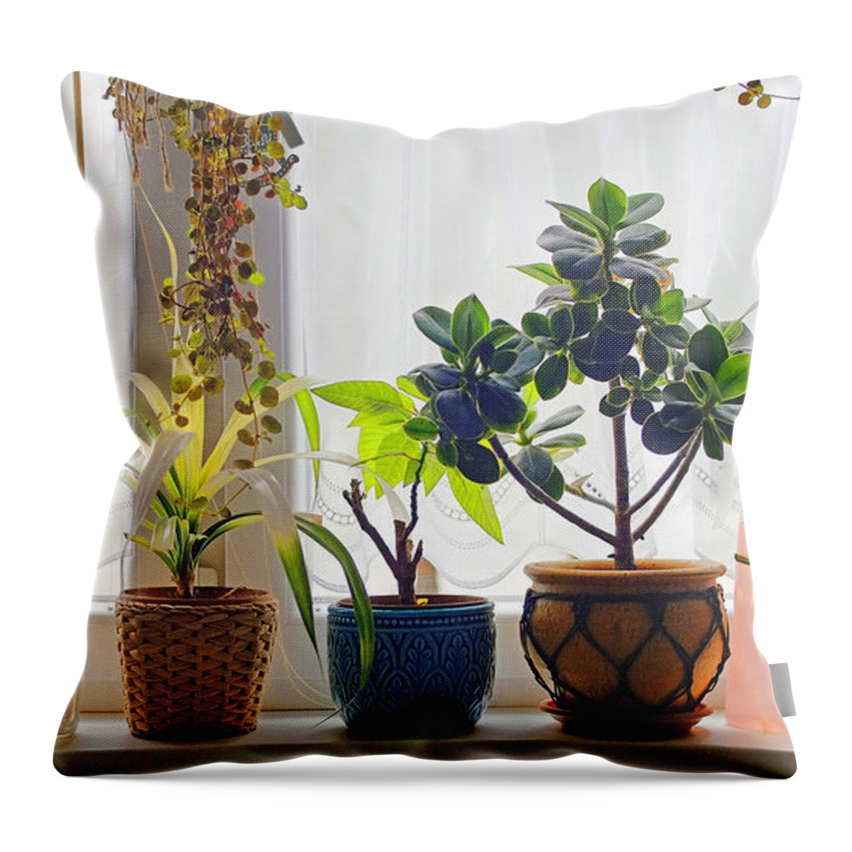 Windows Throw Pillow featuring the mixed media Windows With Curtains And Plants by Sandi OReilly