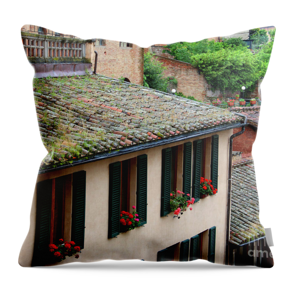 Window Boxes Throw Pillow featuring the photograph Window Boxes and Tile Roofs 0919 by Jack Schultz