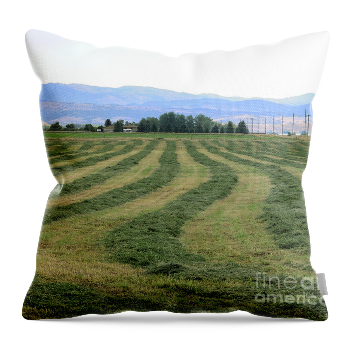 Summertime Throw Pillow featuring the photograph Windrows of Hay Drying by Kae Cheatham
