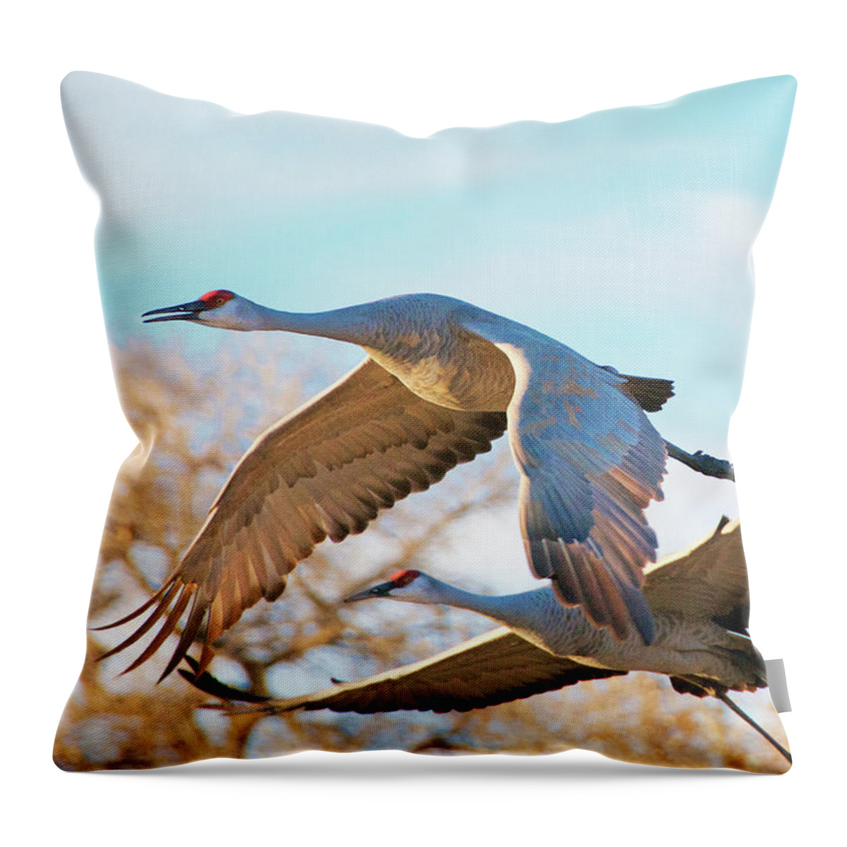 Sandhill Cranes Throw Pillow featuring the photograph Winged Endeavor, Sandhill Cranes by Zayne Diamond