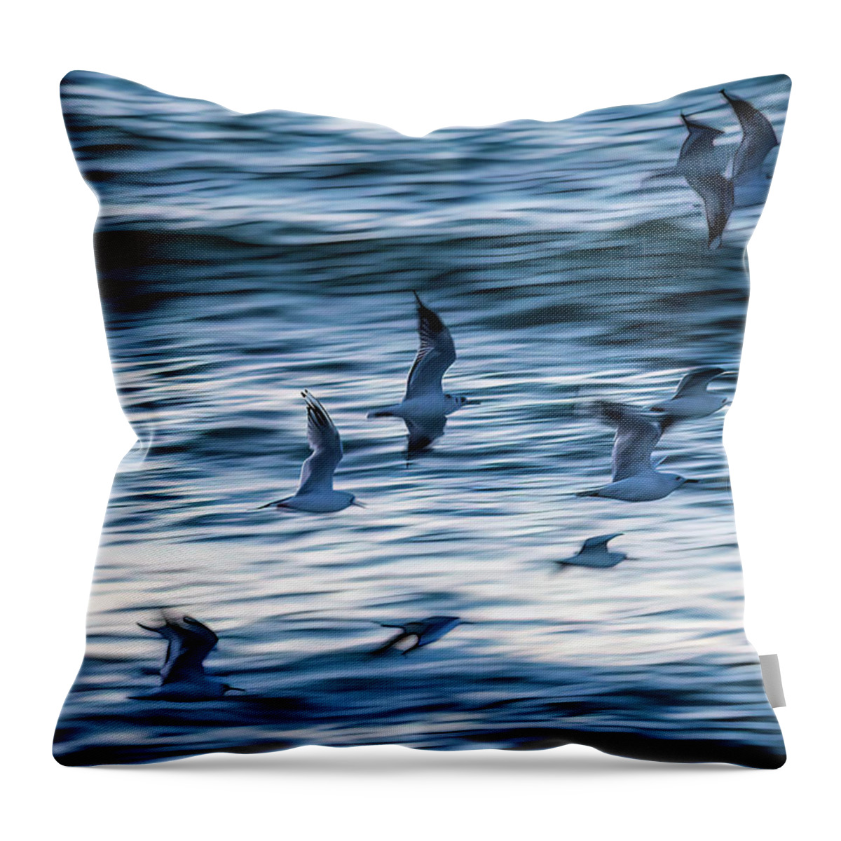 Blue Throw Pillow featuring the photograph Winging it by Johannes Brienesse
