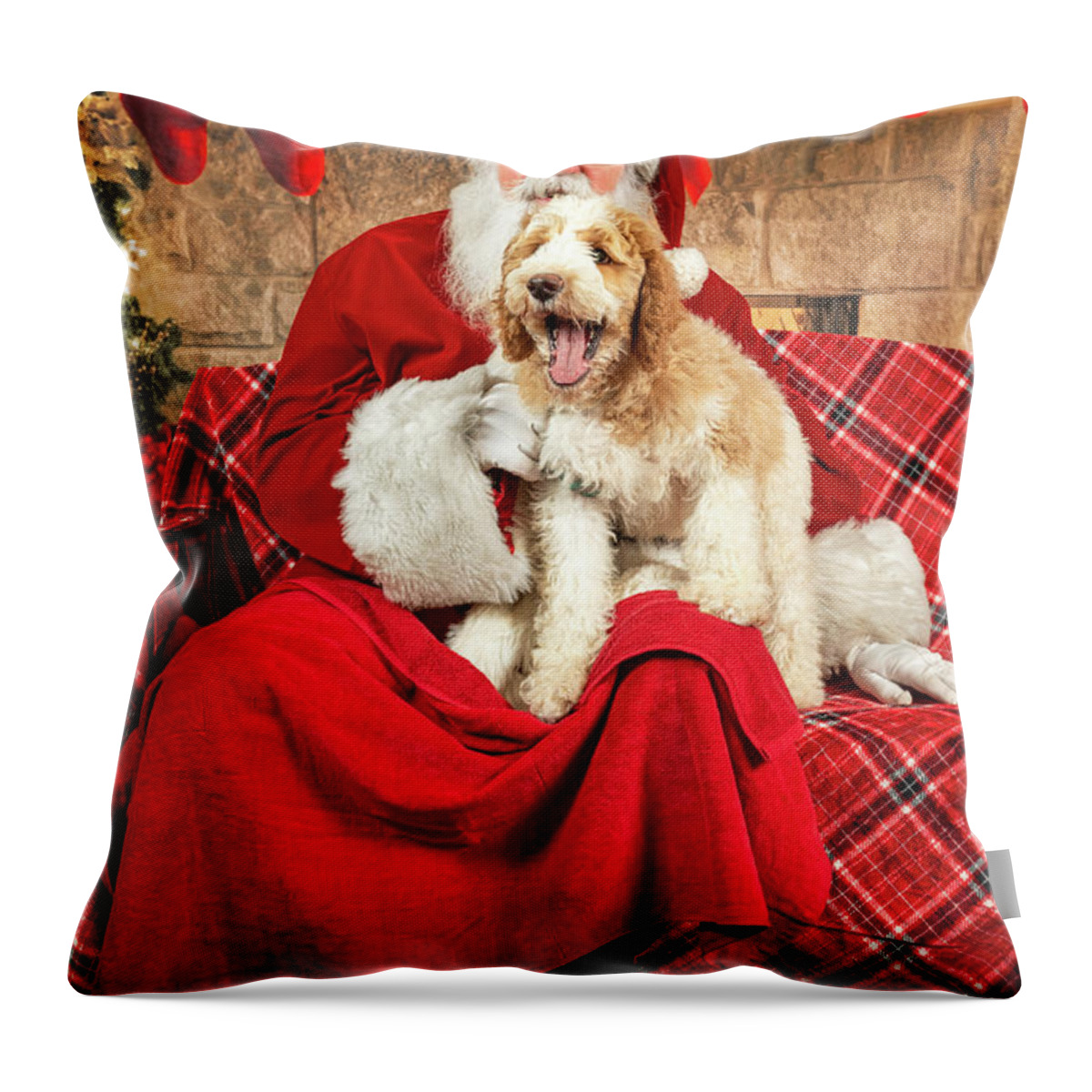 Winston Throw Pillow featuring the photograph Winston with Santa 2 by Christopher Holmes