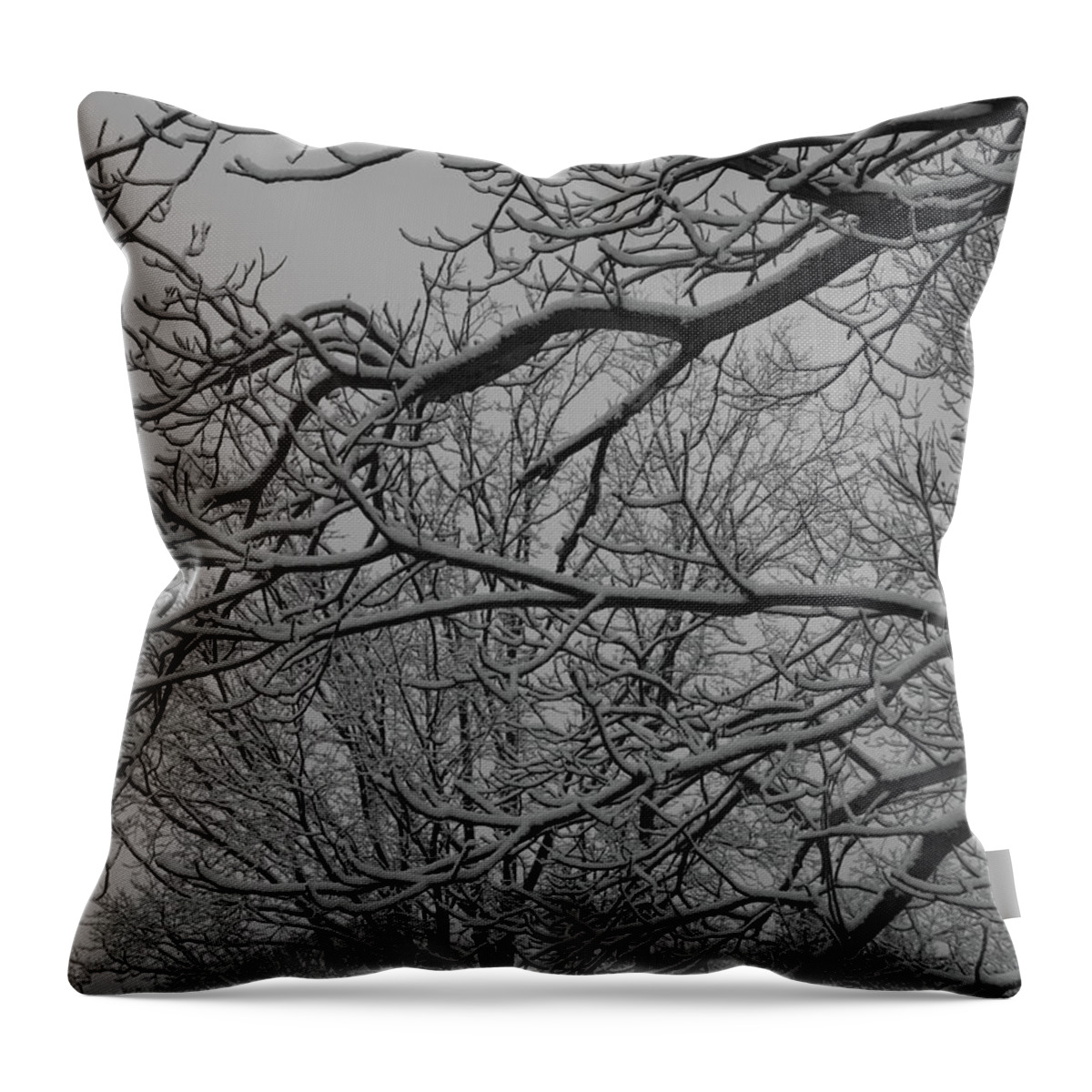 Winter Throw Pillow featuring the photograph Winter 4 by Jeffrey Peterson
