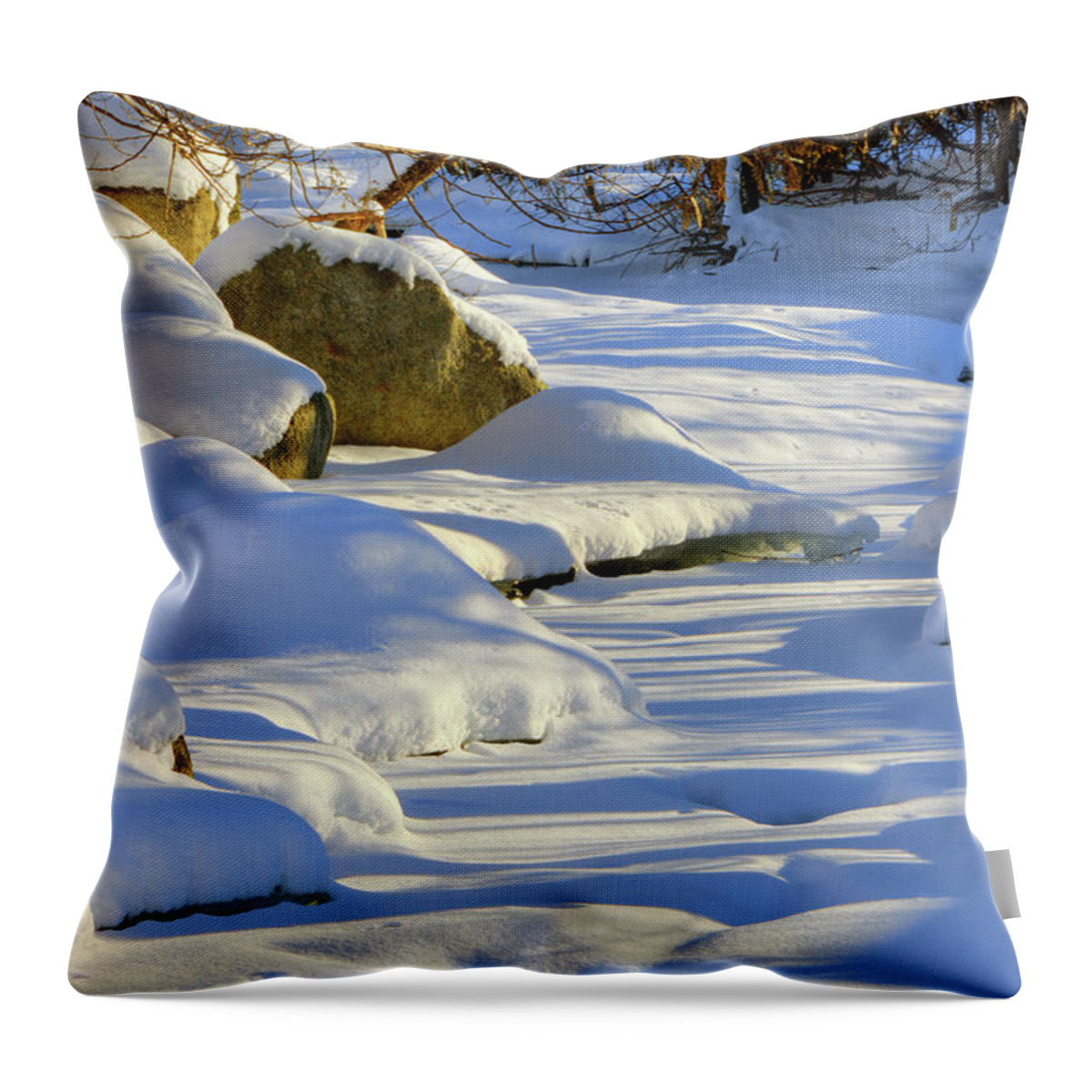 Snow Throw Pillow featuring the photograph Winter 7299 by Greg Hartford