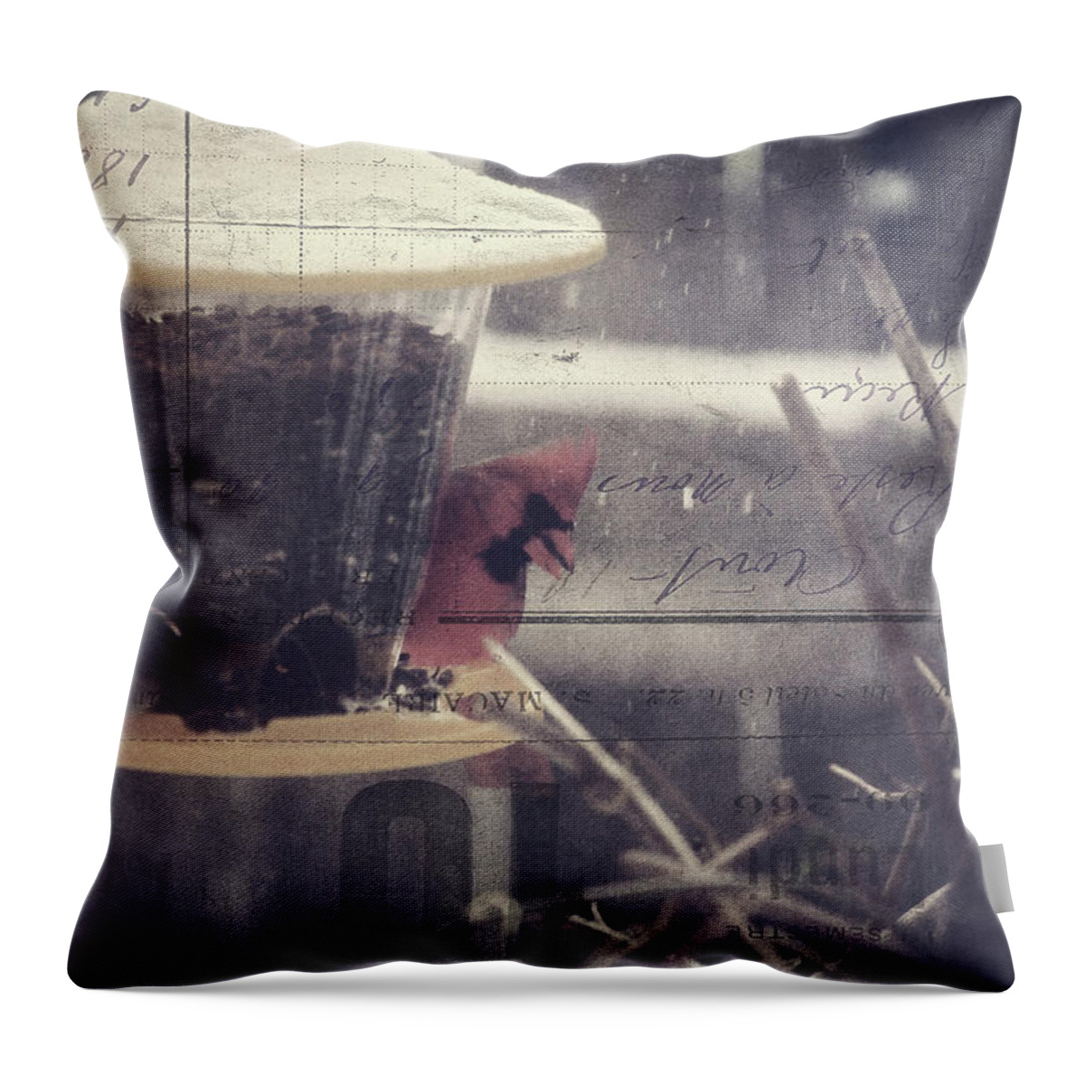 Winter Storm Throw Pillow featuring the photograph Winter Birds at the Feeder by Toni Hopper