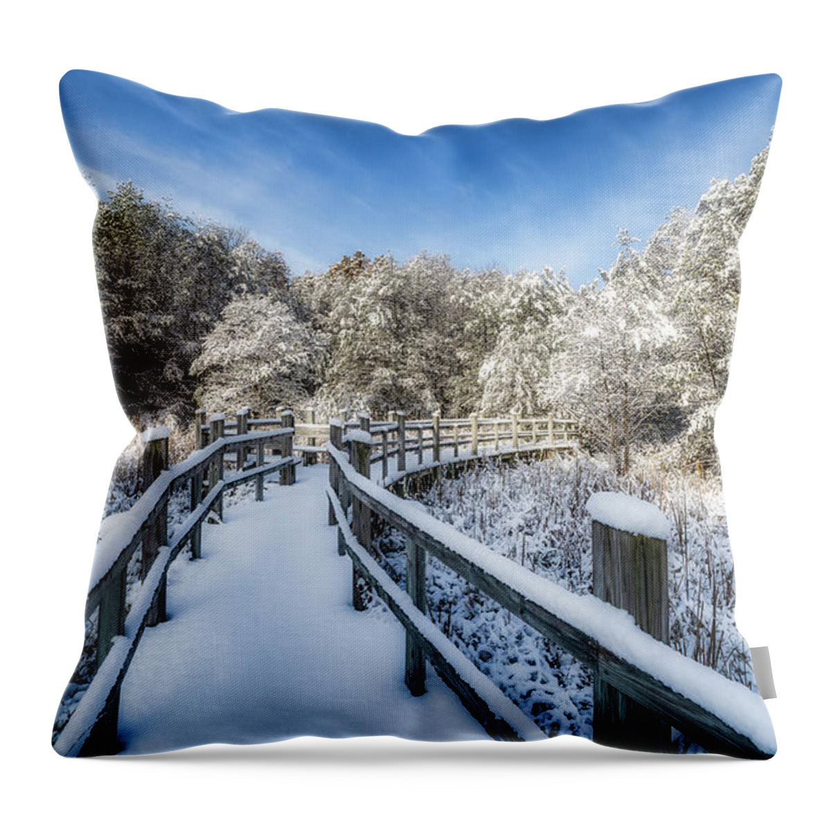 Madison Throw Pillow featuring the photograph Winter Boardwalk by Brad Bellisle