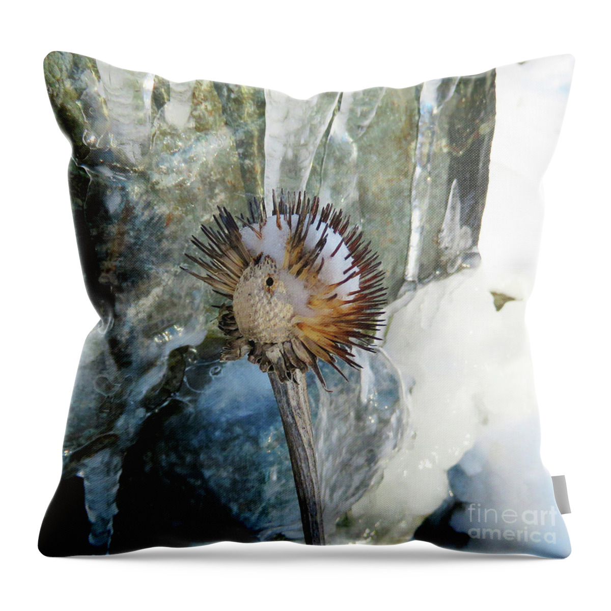 Winter Throw Pillow featuring the photograph Winter Botanical 18 by Amy E Fraser