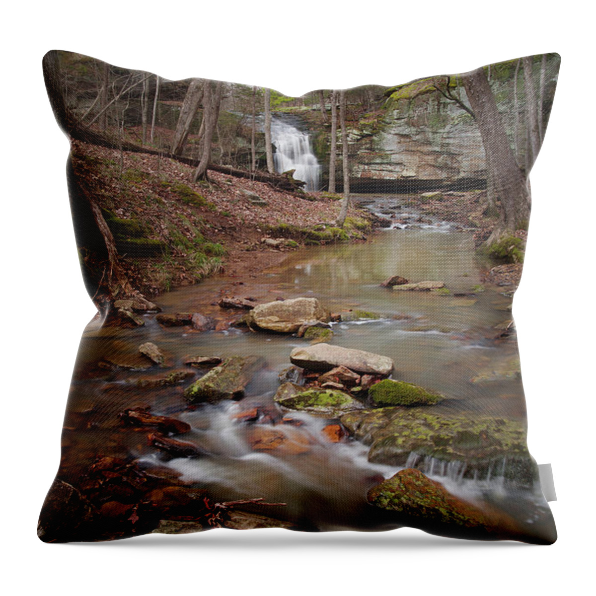 Waterfall Throw Pillow featuring the photograph Winter Creek and Falls by Grant Twiss