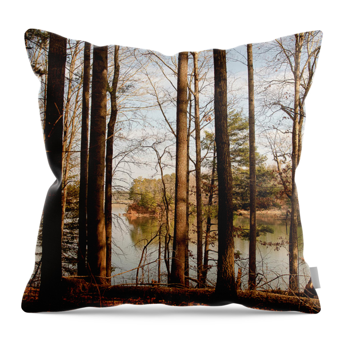 January Throw Pillow featuring the photograph Winter Day at Lake James by Joni Eskridge