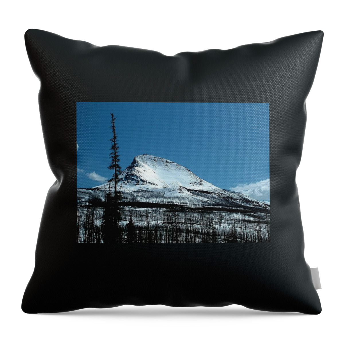 Divide Mountain Throw Pillow featuring the photograph Winter Divide mountain by Tracey Vivar