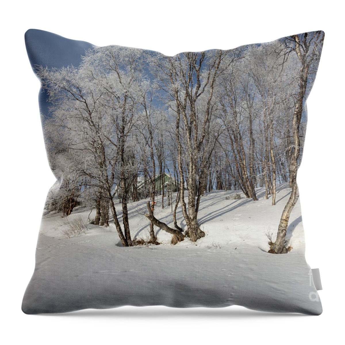 Snow Throw Pillow featuring the photograph Winter Dream by Eva Lechner