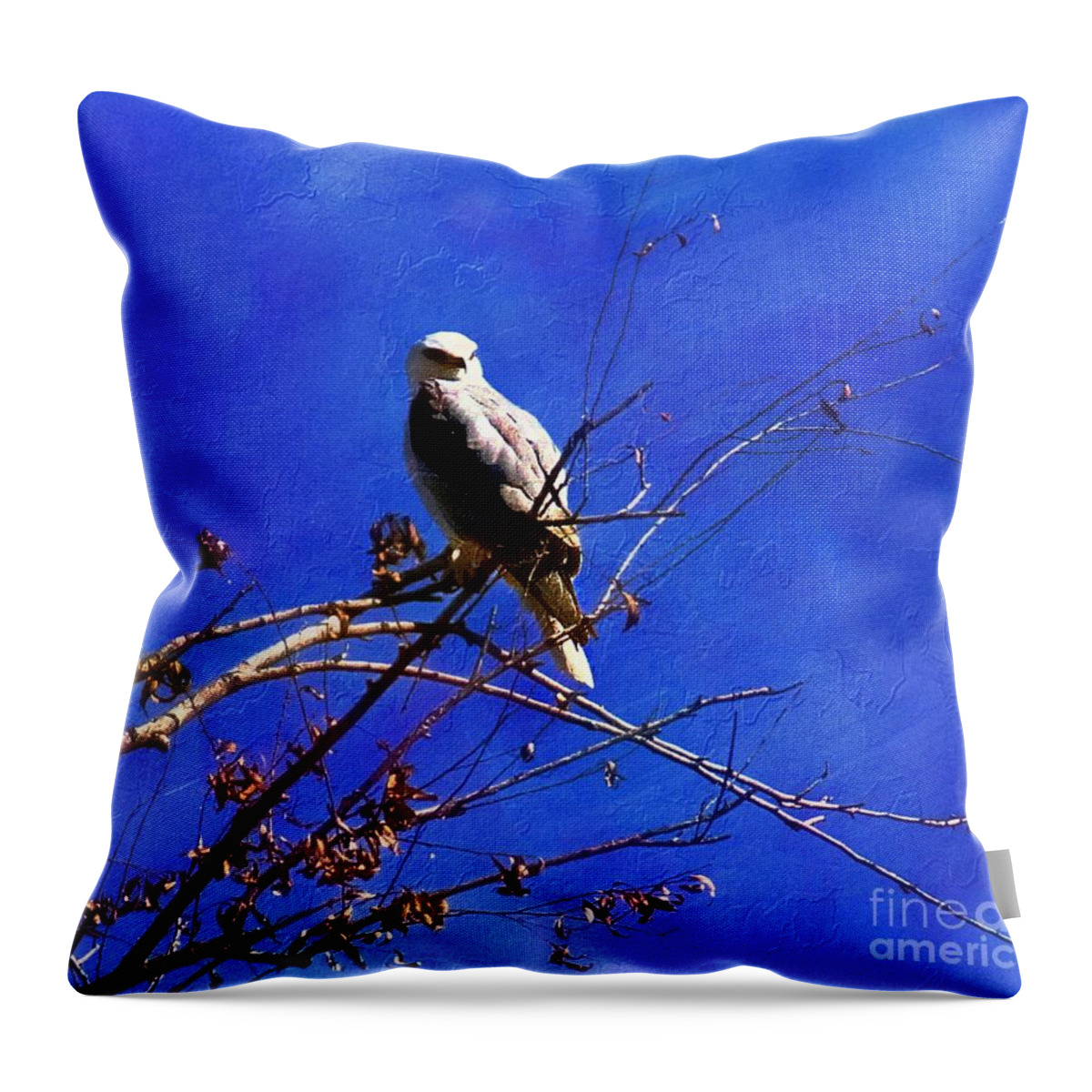 Eagle Throw Pillow featuring the photograph Winter Eagle by John Kolenberg