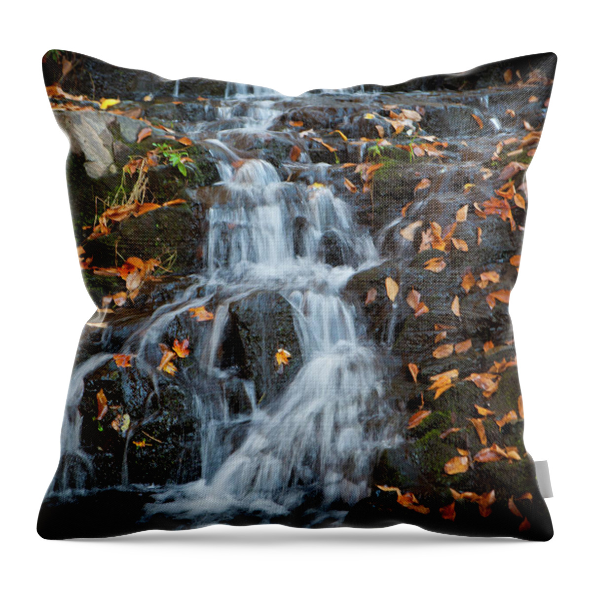 Falls Throw Pillow featuring the photograph Winter Falls_5132 by Rocco Leone