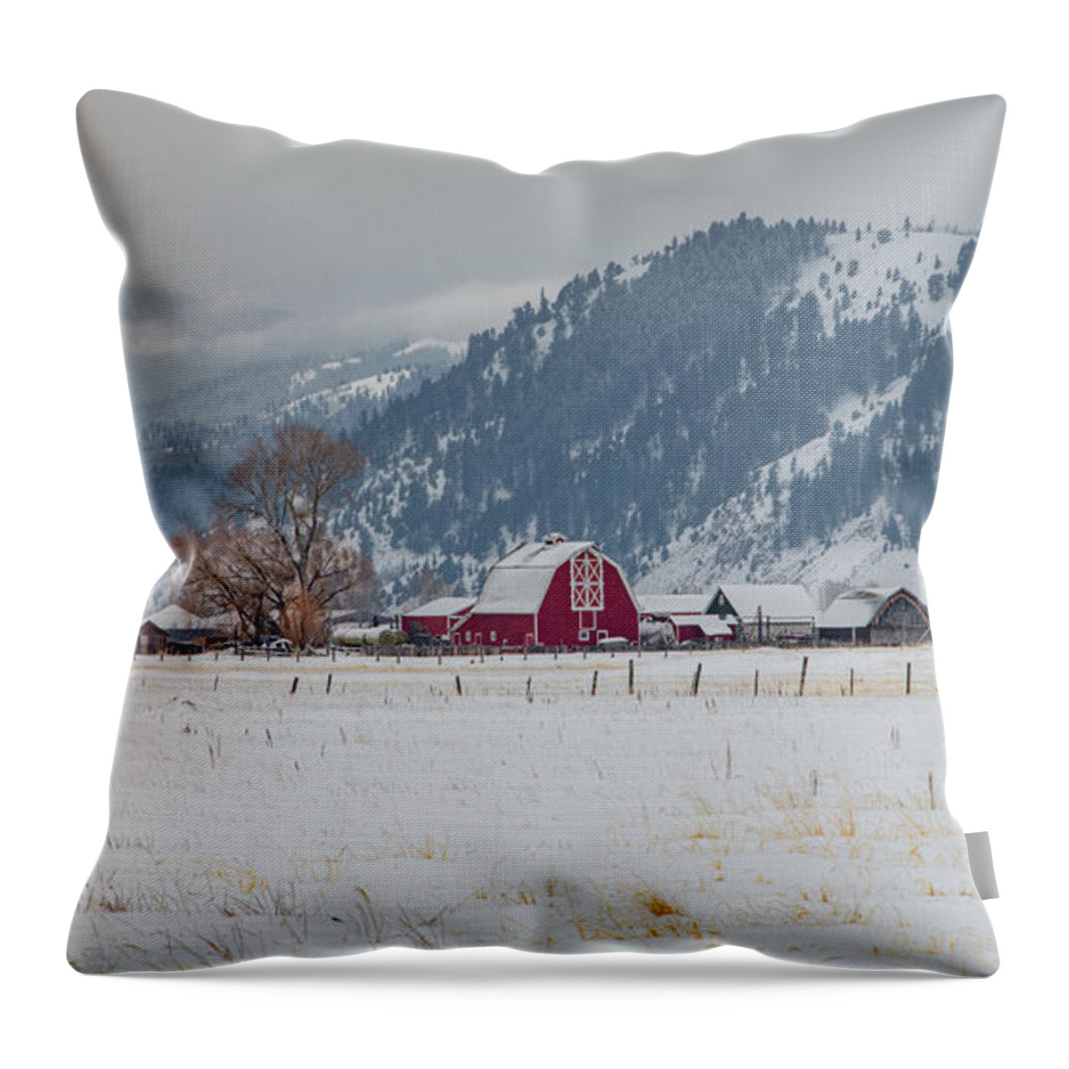  Throw Pillow featuring the photograph Winter Farmstead, Jackson Hole by Marcy Wielfaert
