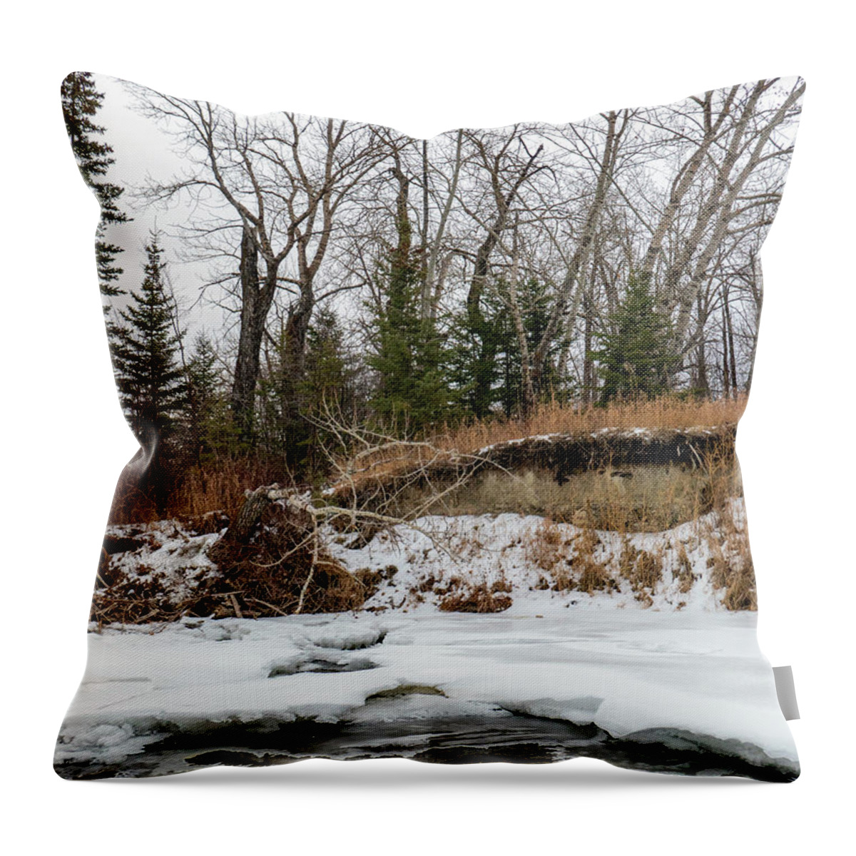 Winter Throw Pillow featuring the photograph winter forest and river in Alberta by Phil And Karen Rispin
