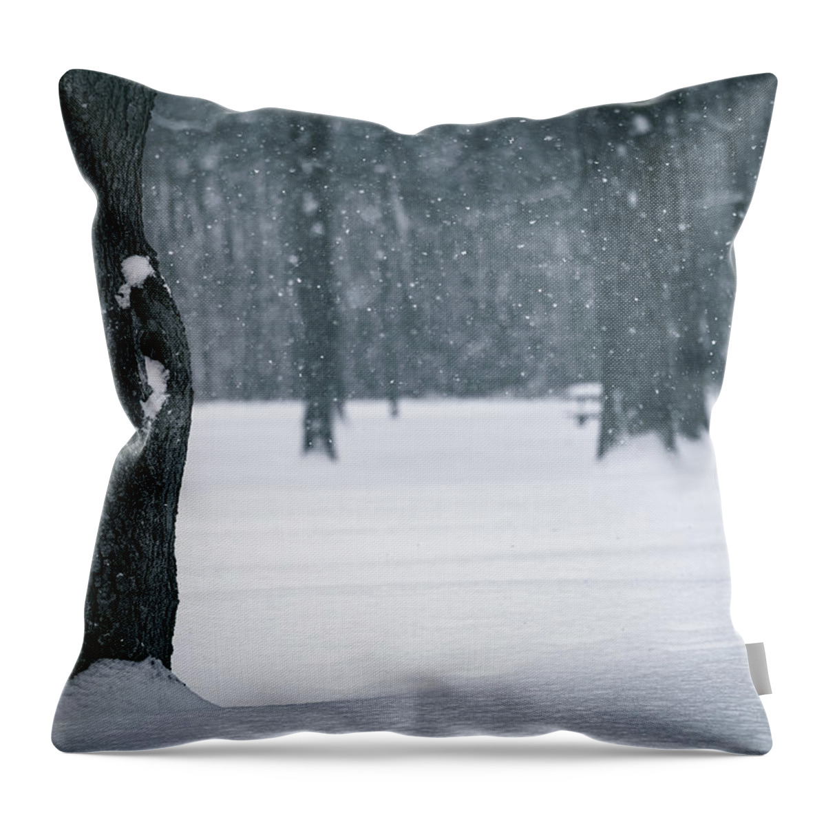 Winter Forest Floor Throw Pillow featuring the photograph Winter Forest Floor by Dan Sproul