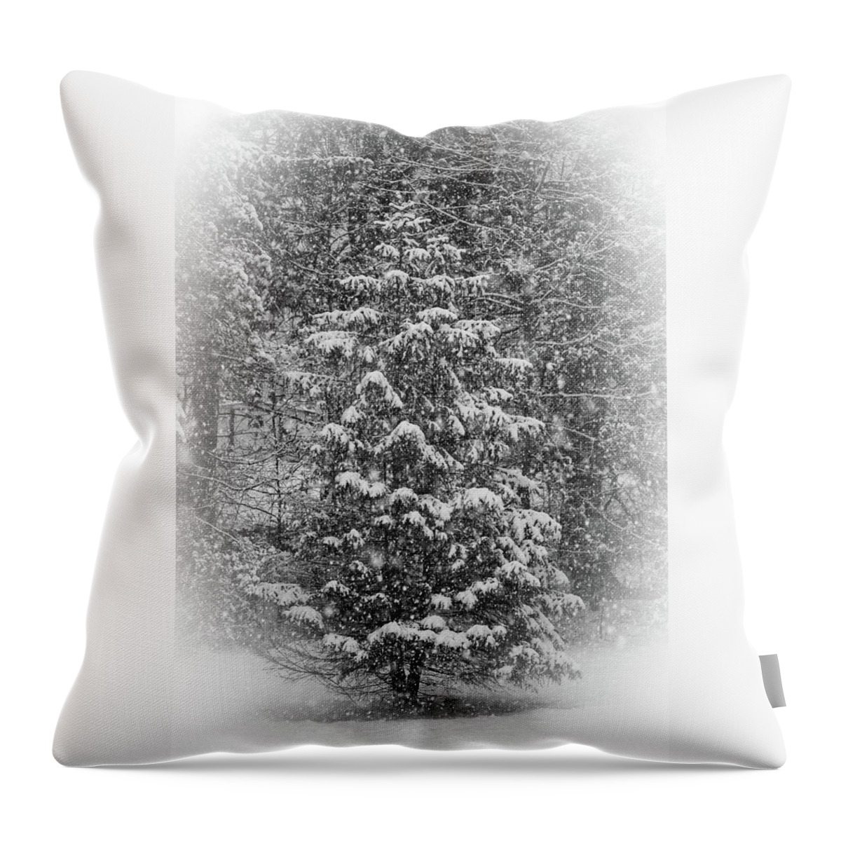 Black And White Throw Pillow featuring the photograph Winter Greeting Card by Scott Burd