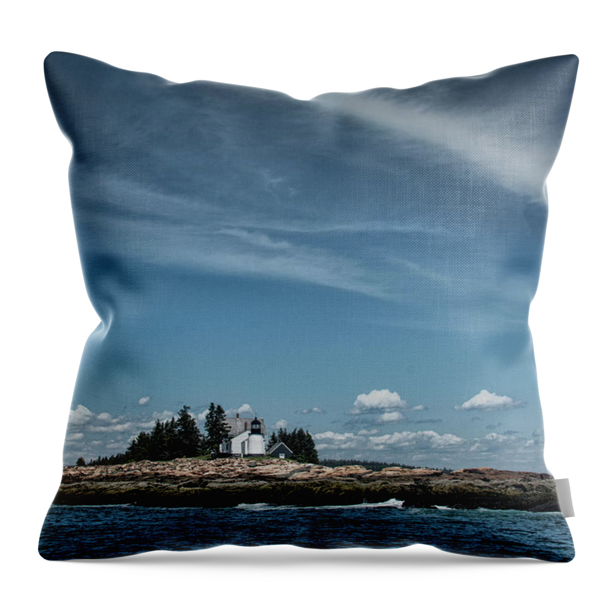 Sea Throw Pillow featuring the photograph Winter Harbor by Erika Fawcett