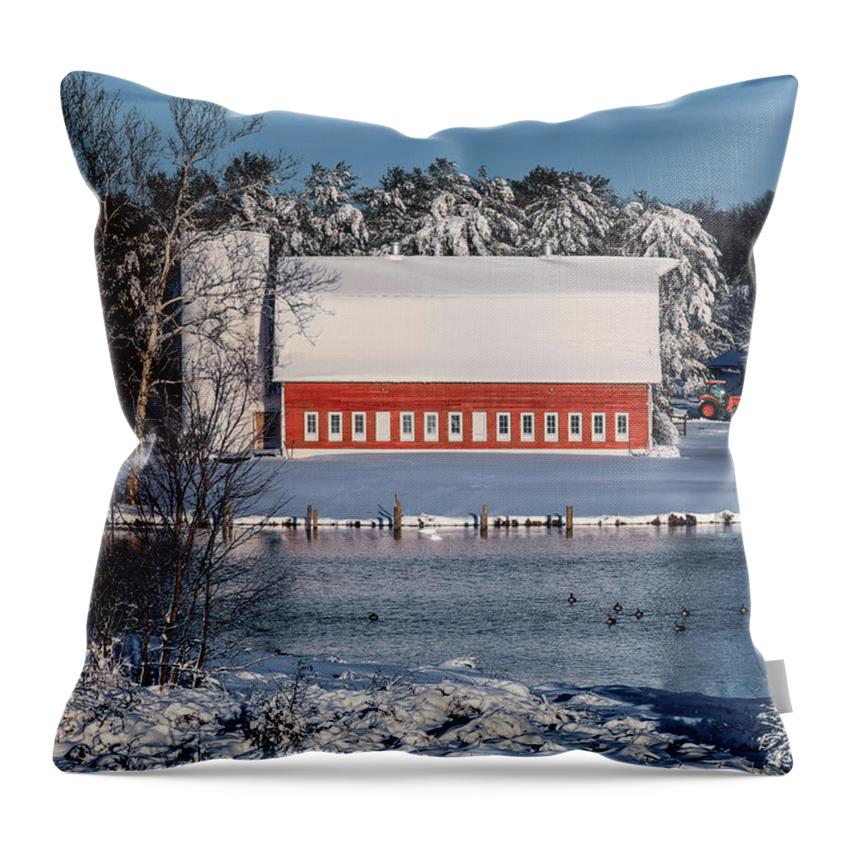 Snow Throw Pillow featuring the photograph Winter Highlights w/o border by C Renee Martin
