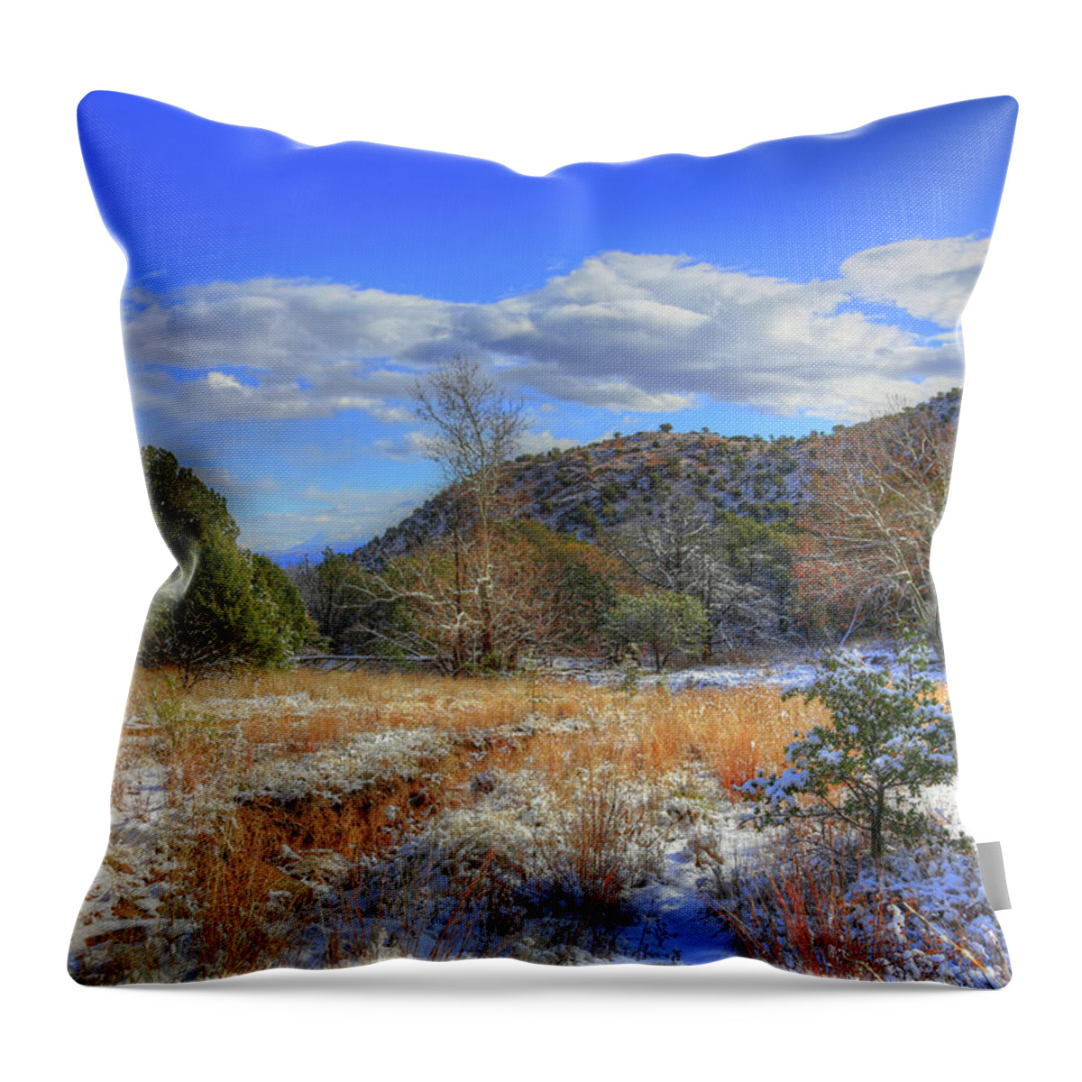 Miller Canyon Throw Pillow featuring the photograph Winter in the Huachuca Mountains by Robert Harris